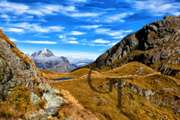 Neuseeland Routeburn Track