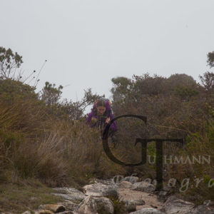 Freycinet Halbinsel ausgewaschene Wanderwege