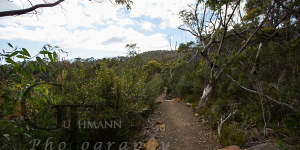 Tasmanien Fortescue Wanderweg Cape Hauy