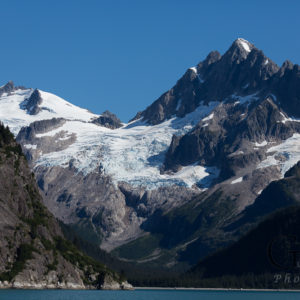 Alaska Seward Waldtour Major Marine Tours